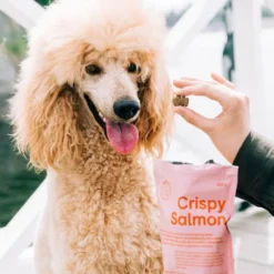 Buddy Petfoods godbiter til hund Laks 150 g