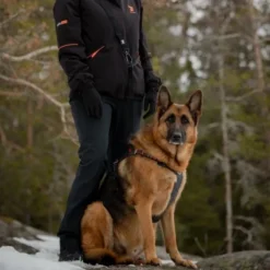 Feel Active Outdoor Hundsele med Lomme, Svart
