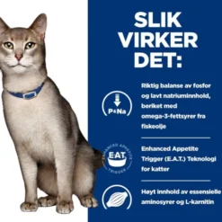 Hill's Prescription Diet Feline k/d Chicken 156 g