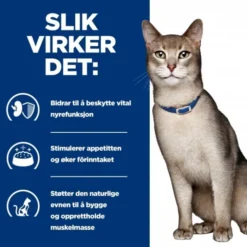 Hill's Prescription Diet Feline k/d Kidney Care Beef 12x85 g