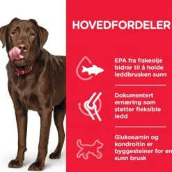 Hill's Science Plan Dog Adult Healthy Mobility Large Breed Chicken 14 kg