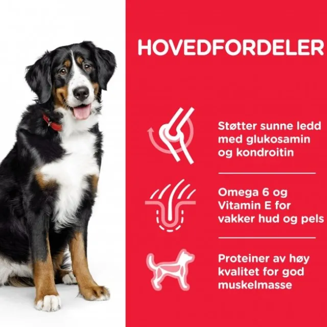 Hill's Science Plan Dog Adult Large Breed Chicken