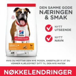 Hill's Science Plan Dog Adult Medium Light Chicken