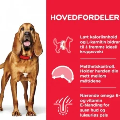 Hill's Science Plan Dog Mature Light Medium Chicken 14 kg