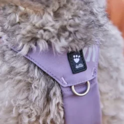 Hurtta Seeker harness lavender