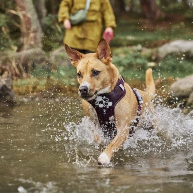 Hurtta Weekend Warrior II ECO Hundesele Lilla