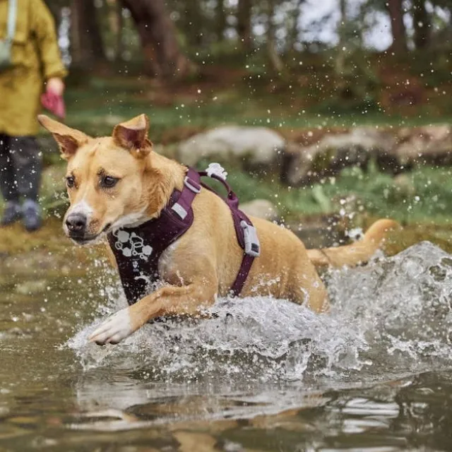 Hurtta Weekend Warrior II ECO Hundesele Lilla
