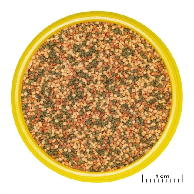 JBL Pronovo Bel Grano S Click Fiskefôr til akvariefisk 100 ml