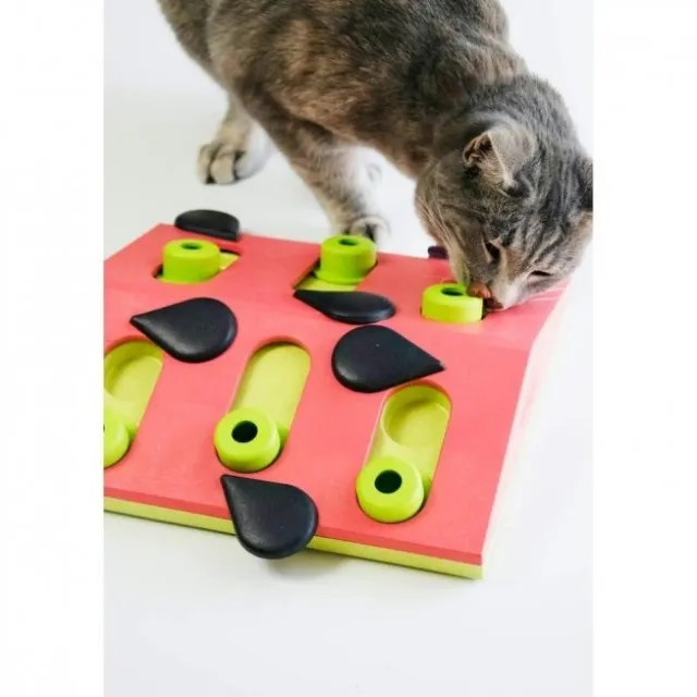 Nina Ottosson Melon Madness Puzzle and Play Katteleke