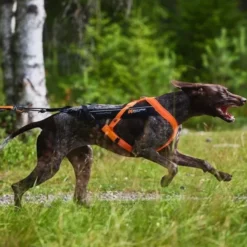 Non-Stop Dogwear Freemotion 5.0 Trekksele, Oransje & Svart