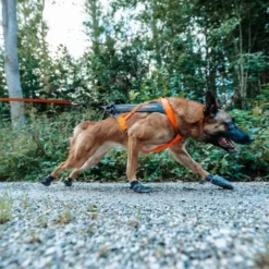 Non-Stop Dogwear Freemotion 5.0 Trekksele, Oransje & Svart