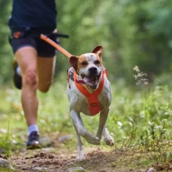 Non-Stop Dogwear Freemotion 5.0 Trekksele, Oransje & Svart