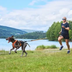 Non-Stop Dogwear Freemotion 5.0 Trekksele, Oransje & Svart