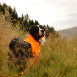 Non-stop dogwear Protector suit Female orange/sort