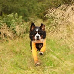 Non-stop dogwear Protector suit Female orange/sort