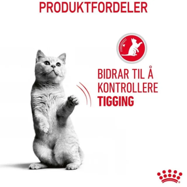 Royal Canin Appetite Control Care Gravy Cat Adult 12 x 85 g