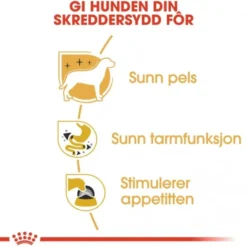 Royal Canin Breed Chihuahua Adult Loaf våtfôr til hund 12x85 g