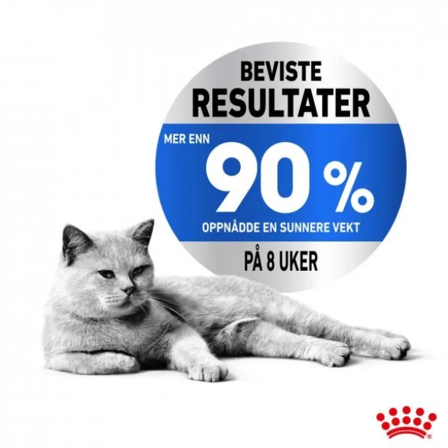 Royal Canin Cat Adult Light Weight Care Chunks in Jelly 12x85