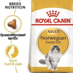 Royal Canin Cat Adult Norwegian Forest Cat