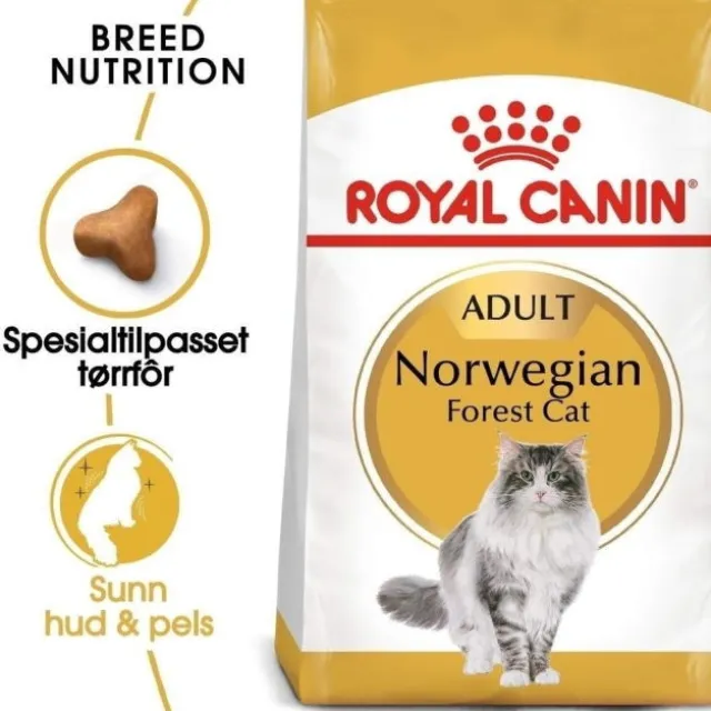 Royal Canin Cat Adult Norwegian Forest Cat