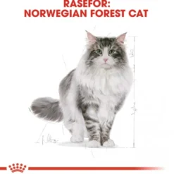 Royal Canin Cat Adult Norwegian Forest Cat