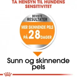 Royal Canin Coat Care Mini Adult tørrfôr til hund
