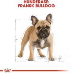 Royal Canin French Bulldog Adult tørrfôr til hund