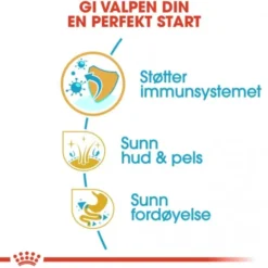 Royal Canin Golden Retriever Puppy tørrfôr til hundvalp