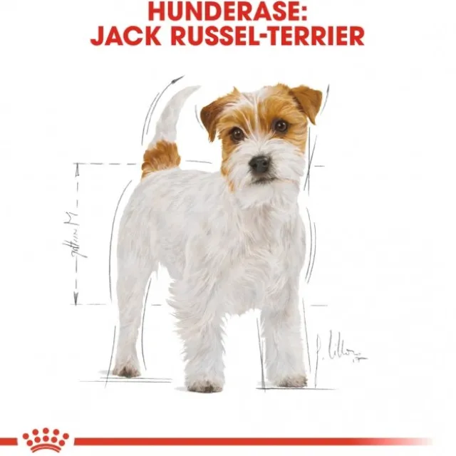 Royal Canin Jack Russel Adult tørrfôr til hund