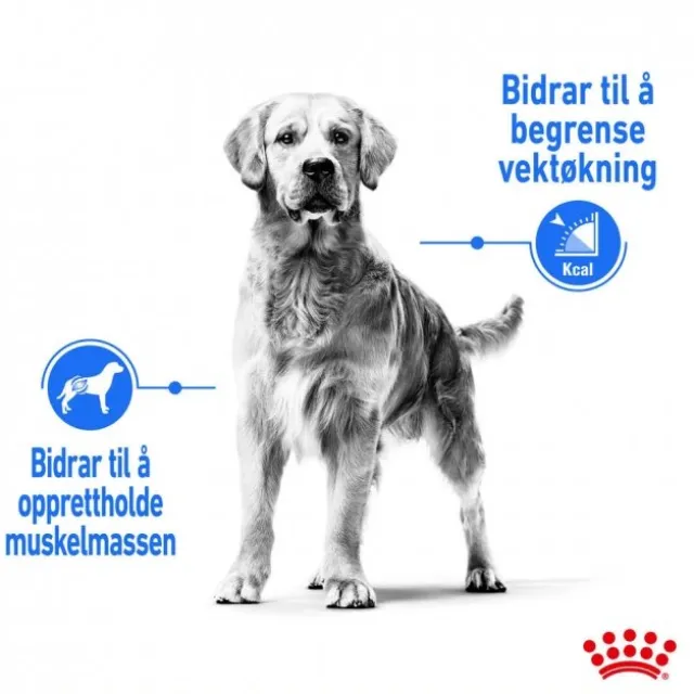 Royal Canin Light Weight Care Medium Adult tørrfôr til hund