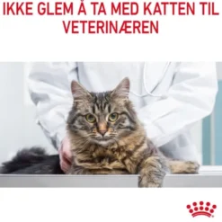 Royal Canin Light Weight Care Adult tørrfôr til katt