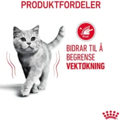 Royal Canin Light Weight Care Adult tørrfôr til katt