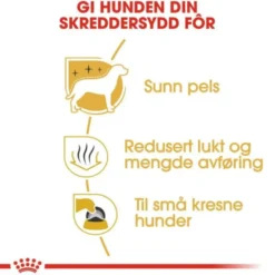 Royal Canin Maltese Adult tørrfôr til hund