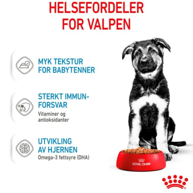 Royal Canin Maxi Puppy Gravy våtfôr til valp 10x140g