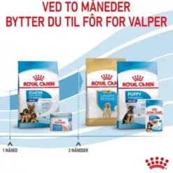 Royal Canin Maxi Starter tørrfôr til hund og valp