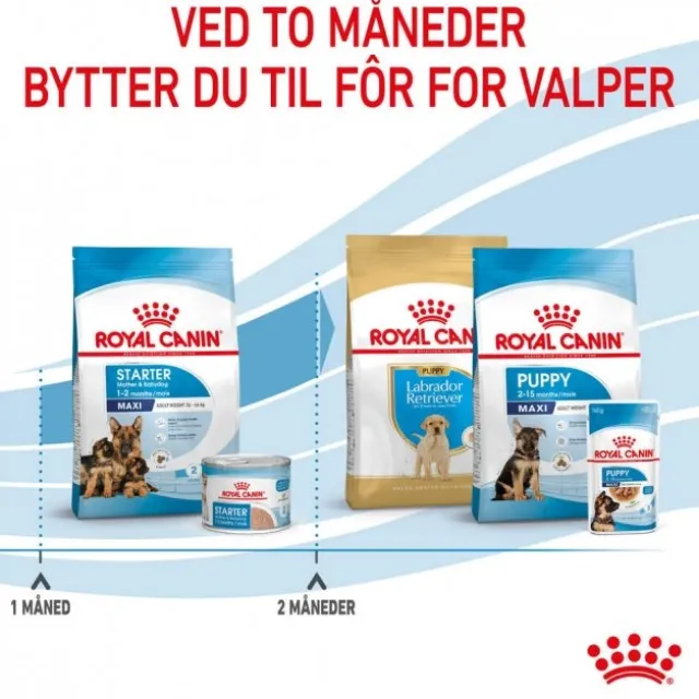 Royal Canin Maxi Starter tørrfôr til hund og valp