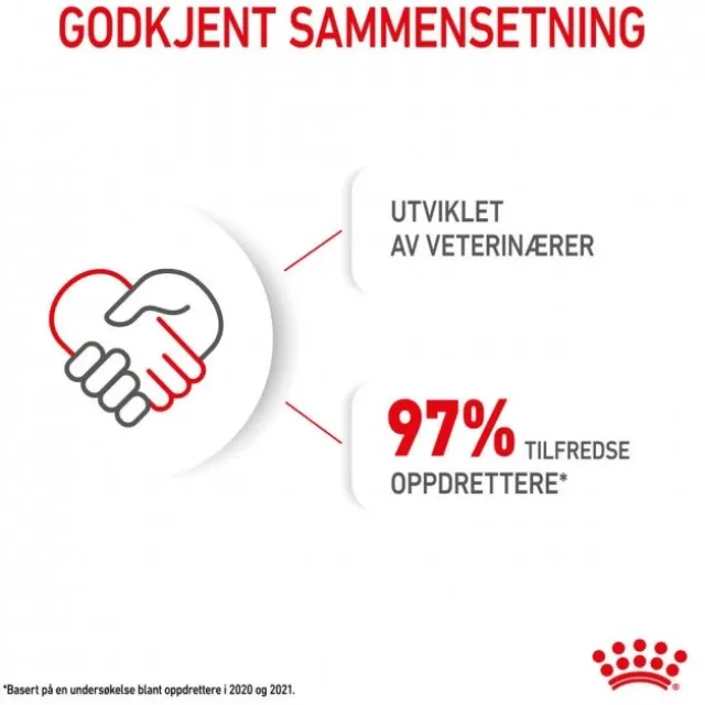 Royal Canin Maxi Starter tørrfôr til hund og valp