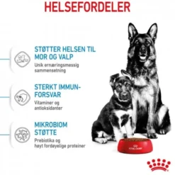 Royal Canin Maxi Starter tørrfôr til hund og valp