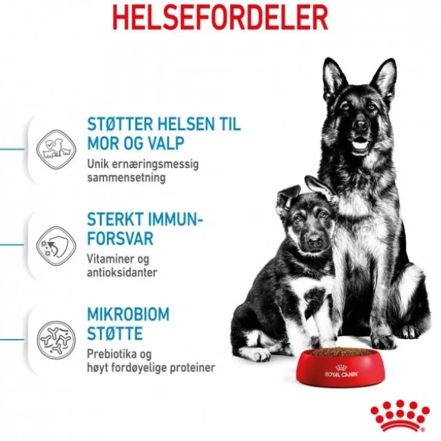 Royal Canin Maxi Starter tørrfôr til hund og valp