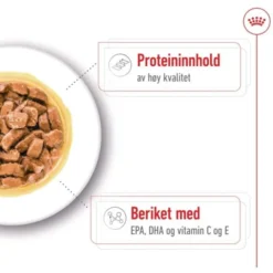 Royal Canin Medium Ageing Gravy våtfôr til hund 10x140 g