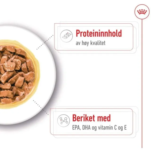 Royal Canin Medium Ageing Gravy våtfôr til hund 10x140 g