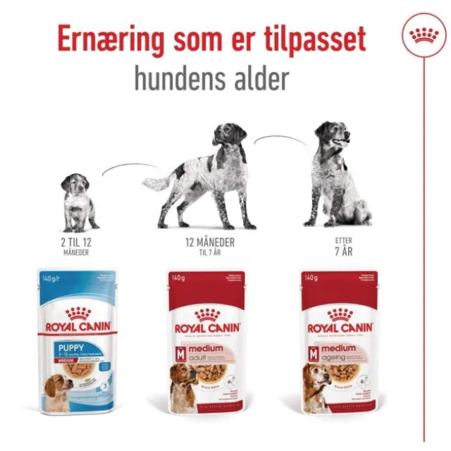 Royal Canin Medium Ageing Gravy våtfôr til hund 10x140 g