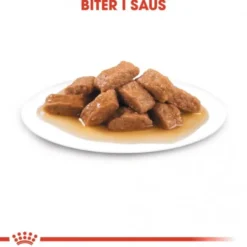 Royal Canin Medium Ageing Gravy våtfôr til hund 10x140 g
