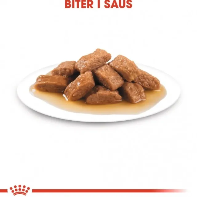 Royal Canin Medium Ageing Gravy våtfôr til hund 10x140 g