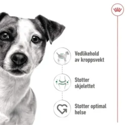 Royal Canin Mini Adult Gravy våtfôr til hund 12x85g