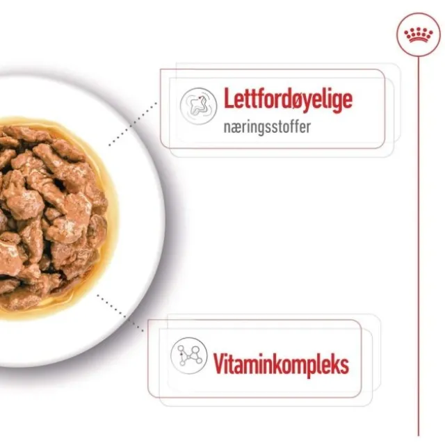 Royal Canin Mini Adult Gravy våtfôr til hund 12x85g