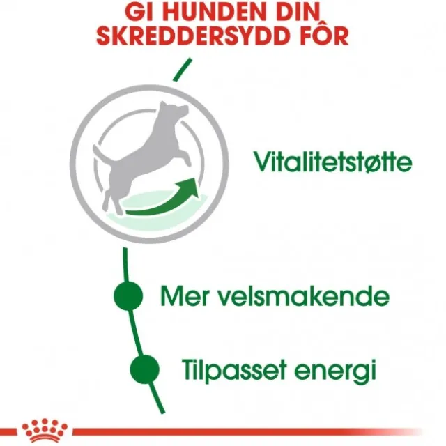 Royal Canin Mini Adult 8+ tørrfôr til hund