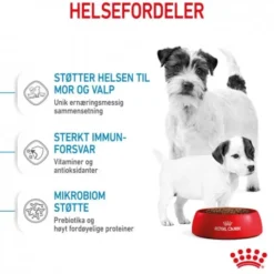 Royal Canin Mini Starter tørrfôr til hund og valp