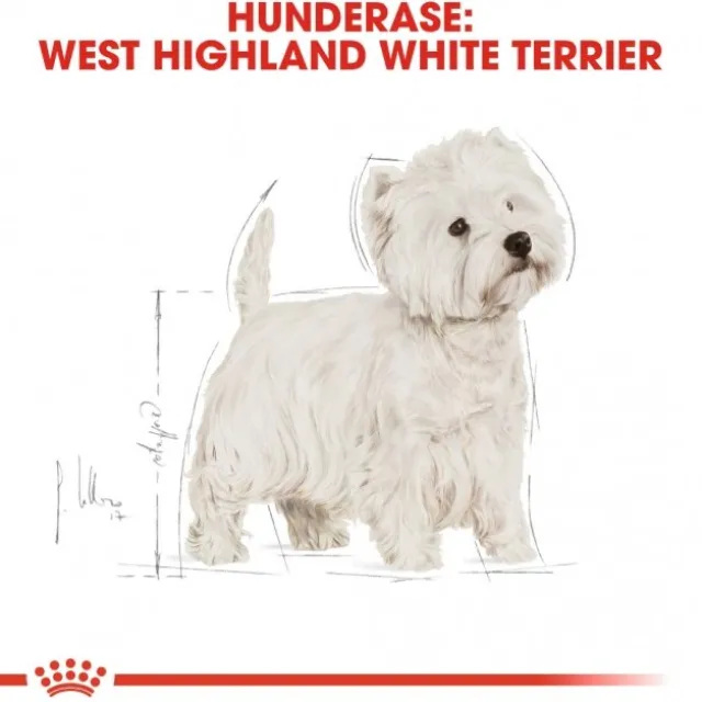 Royal Canin West Highland White Adult tørrfôr til hund