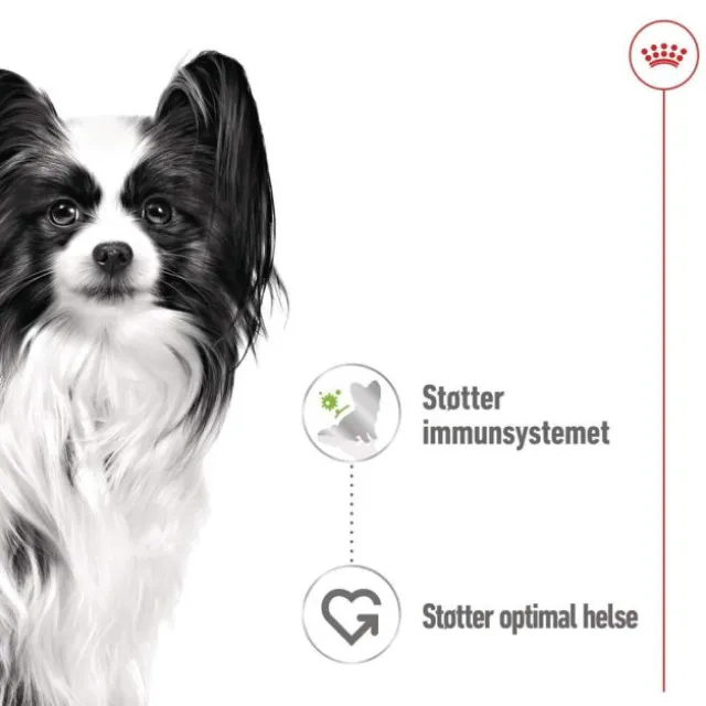 Royal Canin X-Small Adult Gravy våtfôr til hund 12x85g